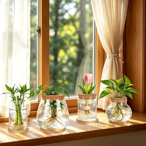 6PCS Plants Propagation Stations Glass Propagation Vases Jar, Planter Terrariums with Wooden Lid and Bamboo Stand Desktop, Hydroponic Vase for Plant Growing Home Office Tabletop Decor
