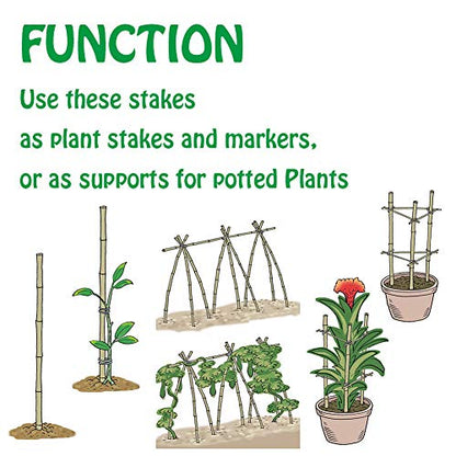 Mininfa Natural Bamboo Stakes 57 Inch (Approx 5 FEET), Eco-Friendly Garden Stakes, Plant Stakes Supports Climbing for Tomatoes, Trees, Beans, 20 Pack