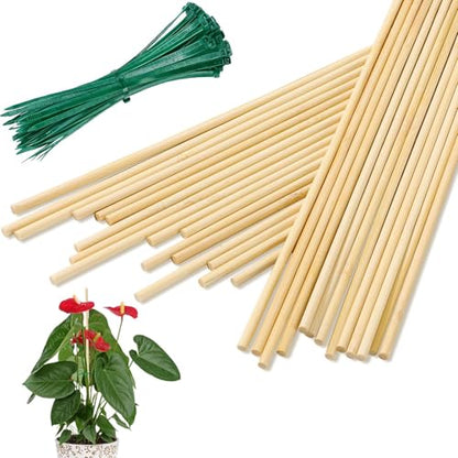 AUGSHY Bamboo Plant Stakes 18 Inch, 64 PCS Natural Bamboo Garden Stakes