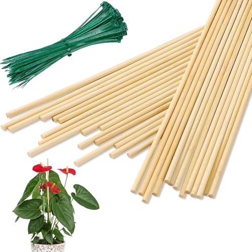 AUGSHY Bamboo Plant Stakes 18 Inch, 64 PCS Natural Bamboo Garden Stakes