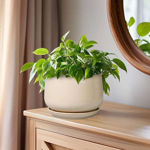 G EPGardening Ceramic Pot for Plants, 6 Inch Planter with Drainage, Beige - color: Beige, size: 5 Inch