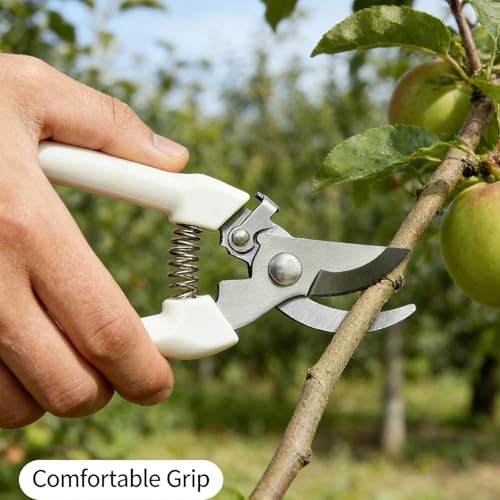 1Pcs Professional Gardening Scissors Stainless Steel Pruning Branches Fruit Trees Flowers Household Pruning Tools Lvory White (Elbow,17x5x1.5cm) - color: Elbow,17x5x1.5cm