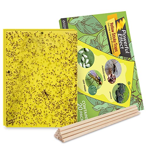 Kensizer 20-Pack Fruit Fly Trap, Yellow Sticky Gnat Traps, 6x8 in - size: 20-Pack