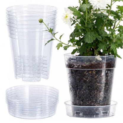 1 Gallon 6 Inch Clear Plastic Plant Pot with Drainage Holes, Interlocking & Detachable Tray - Deep Saucer - Durable BPA-Free Plastic, Transparent Design, Raised Base for Airflow, Set of 6, 92-X-A-6 - size: 6.5" x 7"