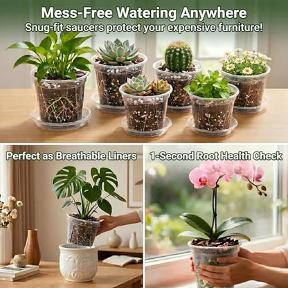 Root-Safe Clear Plant Pots for Indoor: Zero Transplant Shock for Orchids