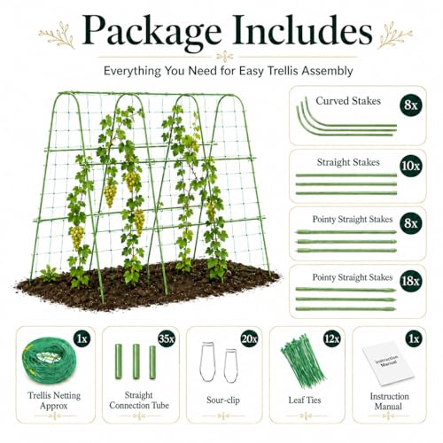 FOLLOOK Cucumber Trellis for Raised Garden Bed,63x48inch, Green - color: Green, size: 63x48inch