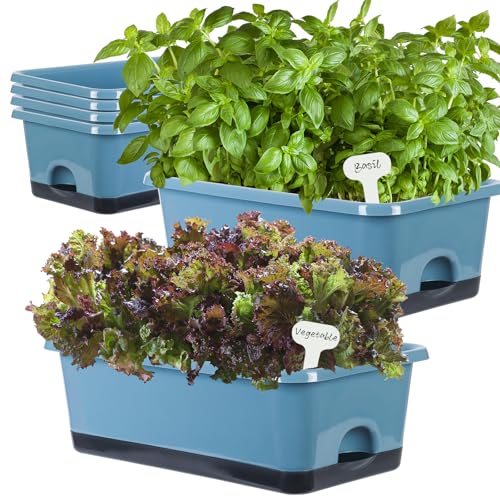 Oliz Window Box Planter 6 Pcs, 17 Inches Rectangle Flower Pots with Drainage Holes and Trays, Vegetable Planters for Windowsill Patio Garden Balcony Home Indoor Outdoor (Blue, 18 * 10 * 6 inch) - size: 18*10*6 inch