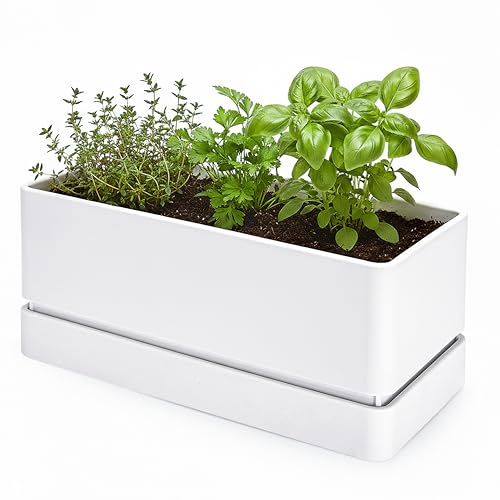 D'vine Dev Rectangular Planter, 12 x 6.5 in, White, 76-P-A-1 - color: White