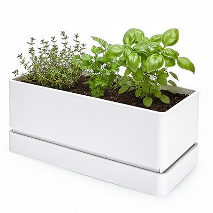 D'vine Dev Rectangular Planter, 12 x 6.5 in, White, 76-P-A-1 - color: White