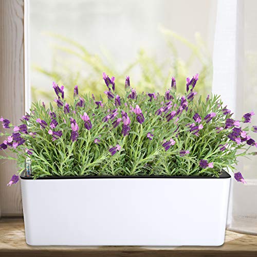 Fasmov 2 Pack Rectangle Self Watering Planter with Water Level Indicator, 16x 5.5 Inch Window Gardening Box, Decorative Planter Pot for All House Plants Flowers Herbs, Decorative Planter Pot