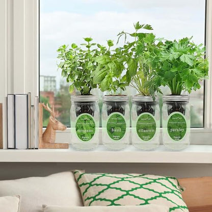 Hydroponic Herb Growing Kit Set, Self-Watering Mason Jar Herb Garden Starter Kit Indoor, Grow 4 Kinds of Herbs from Seeds (Cilantro,Basil,Parsley&Oregano) - color: Cilantro,Basil,Parsley&Oregano