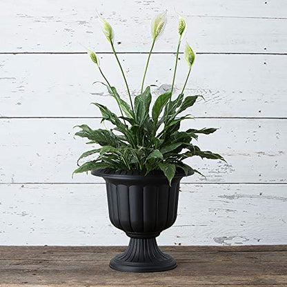 Root & Vessel, Classic Urn Planter, Black, 14-Inch - color: Black, size: 14 Inch