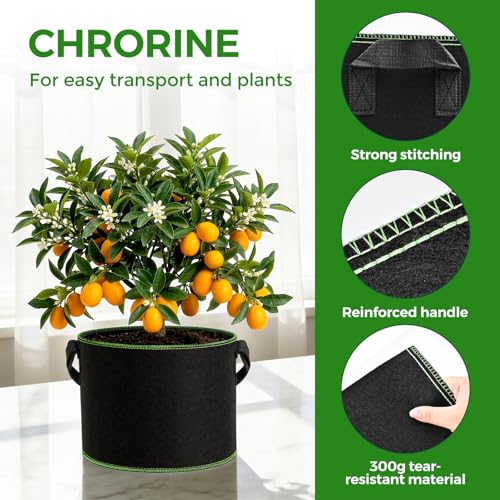 CHRORINE 6-Pack 5 Gallon Grow Bags 300G Thickened Aeration Fabric Pots with Handles Suitable for Planting Plants Flowers and Fruits - size: 5 Gallon