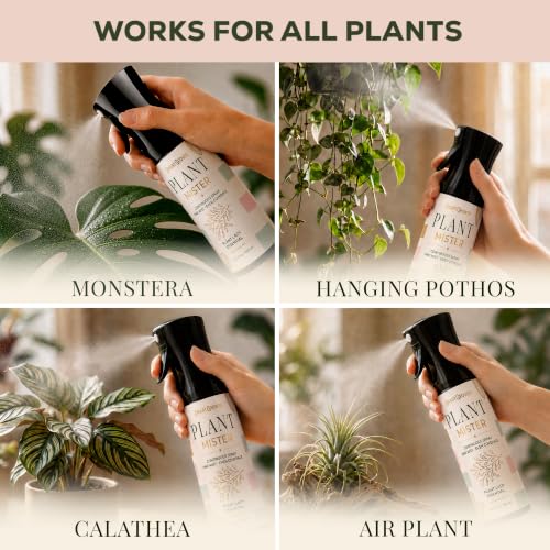 Plant Mister Spray Bottle for Indoor Plants With Plant Care Guide - color: Botanical Checker