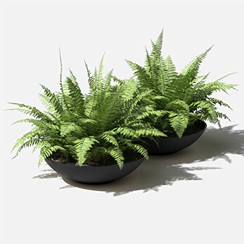 Veradek Mason Series Lane Bowl - Large Outdoor Bowl Planter - color: Black, size: 6"H x 24"DIA 2PK