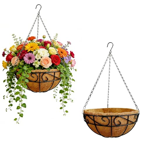 Hanging Planters for Outdoor Plants,12 inch 2 Pack Hanging Planters Basket with Coco Liners, Hanging Baskets Flower Pots for Patio,Garden, Deck, Porch Plants