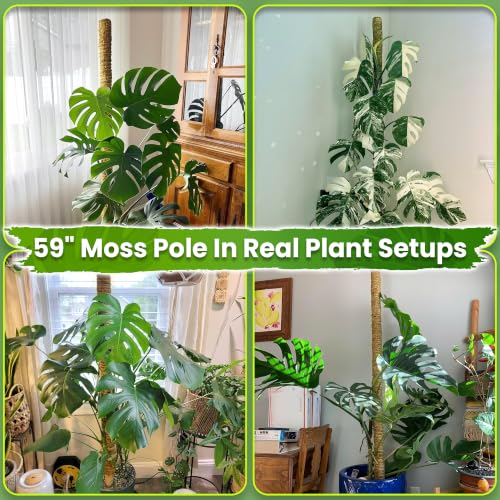 DUSPRO 59" Natural Large Moss Pole for Big & Mature Plants, (1pc., 59'') - size: 59" NATURAL MOSS POLE for BIG PLANTS