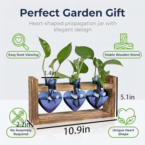 Plant Propagation Station 3Pcs Heart Vase with Wooden Stand Tabletop for Hydroponics Indoor Home Table Decor for Her Plant Lovers Women Mom Wife Daughter (Blue) - color: Blue
