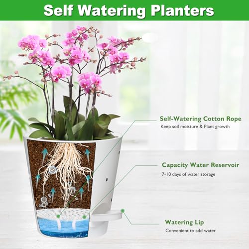 Vanslogreen 6 Inch Orchid Pots with Holes, Self Watering Plant Pots, 2 Pack - color: White