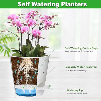 Vanslogreen 6 Inch Orchid Pots with Holes, Self Watering Plant Pots, 2 Pack - color: White