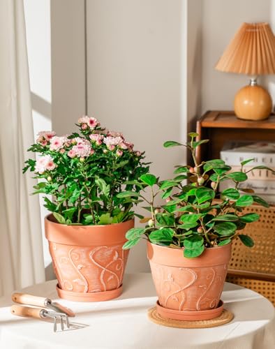 Melphoe Plant Pots Indoor with Drainage & Saucer, 2Pack 7/8 inch Flower Pots Outdoor Planters for Indoor Plants Garden Home Decor Cactus Succulent, Rigid Plastic (Imitation-Terracotta) Vine-Embossed - color: Terracotta Color, size: 7/8 inch