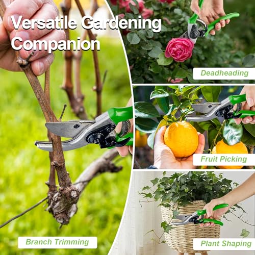Pro Pruning Shears - Heavy Duty Garden Shears with SK-5 Steel Blades, Ergonomic Non-Slip Handle Tree Branch Cutter & Flower Arranging Tool