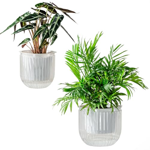 Melphoe Self Watering Pots for Indoor Plants Planter, 6.5/5.3 Inch 2 Pack Planters Self Watering Plant Pots for Flower, Houseplants, Succulent, African Violets and Cactus with Drainage - color: White, size: 6.5''+5.3''