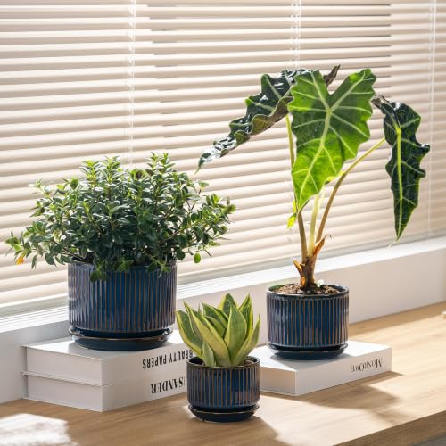 SURE YUESI Ceramic Plant Pots Set of 3, Indoor Outdoor Planters with Drainage Hole and Saucer, Ceramic Flower Pots for Indoor Plants, 4.3+5.5+6.8 Inch, Home, Garden, Patio and Office, Glossy Blue - color: Navy Blue