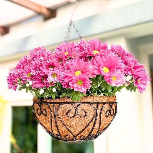LaLaGreen Round Hanging Baskets (14 in, 4 Pack) Black Metal Flower Pots - size: 14" (36 cm) x 4 Pack