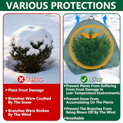 2 Pcs Pop Up Shrub Covers Frost Protection Tent, 22" x 22" x 22" Winter Plant Cover Freeze Protection, Warm Garden Plant Protector Tent for Protecting Outdoor Shrub Fruit Potted Plants from Snow & Ice - color: 22 x 22 x 22 inch