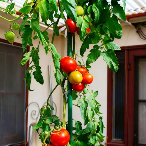Xiny Tool Garden Stakes, 15 Pack 8 FT Steel Plant Garden Tomato Stakes with Plastic Coat for Climbing Plants (96 Inch) - size: 96 Inch