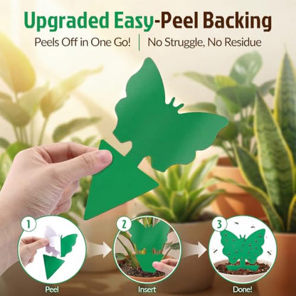 100 Pack Gnat Traps, Double Sided Plant Sticky Traps for Indoor Bug, Green - color: Green