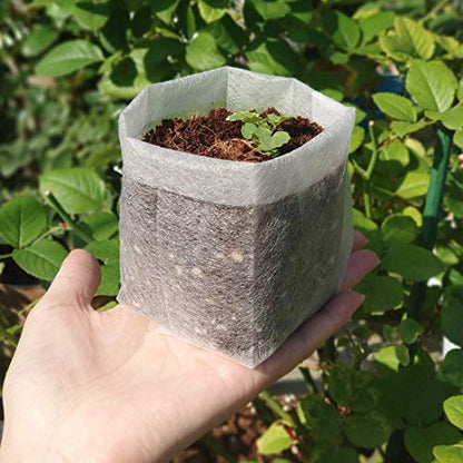 Belit Nursery Growing Bags, 100 Pcs Fabric Seedling Pots Non-Woven Pouch for Gardening Seed Plant Bag, Potato, Flower, Tomato Plant Starts (5.7" x 5.7 ") - size: 100 Pcs 5.7"x5.7"