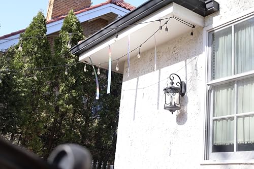 Bird-X, Holographic Bird Scare, Iridescent Foil Reflective for Multi-Sensory Attack, Easy to Install, 2" W x 25' L - size: 2" x 25ft Length