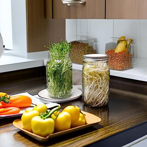 Lulonpon 4 Sprouting Jar Kit, Wide Mouth Quart Mason Jars with Stainless Steel Screen Sprout Lids, 86mm,1000ml,Stand,Tray and Canning Brush,Seed Sprouter Set for Growing Broccoli, Alfalfa, Mung Bean - color: White-NoCover4PTray