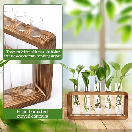 Glass Plant Propagation Station with 5 Test Tubes Colorful Planter Vase