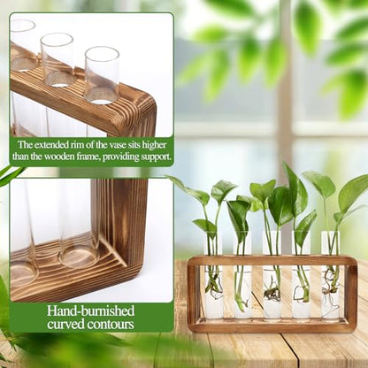 Glass Plant Propagation Station with 5 Test Tubes Colorful Planter Vase