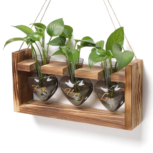 Plant Terrarium Propagation Stations Hydroponics - color: Gray(Faith Hope Love)