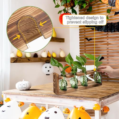 Plant Propagation Stations Halloween Skull Plant Terrarium Kit - color: Green
