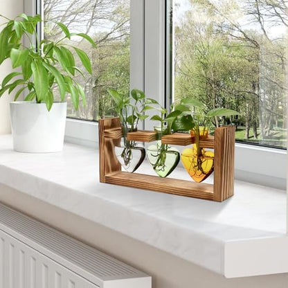 Plant Terrarium Propagation Stations Hydroponics - color: Color 4