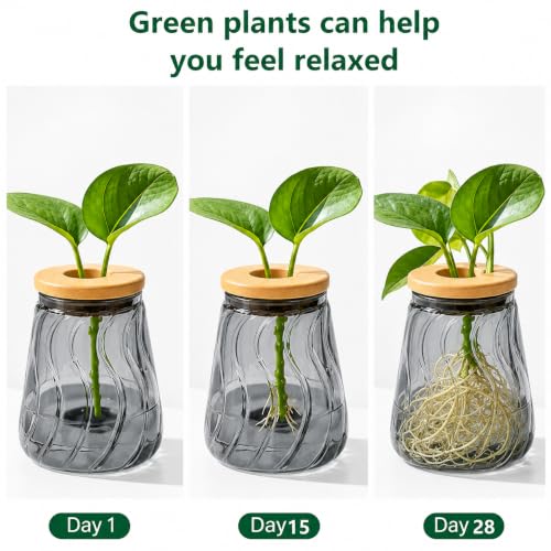 Desktop Plant Hydroponic Vases, Water Plant Jars, Gardening Gifts for Office and Home, Outdoor, Gray Glacier Pattern - color: Gray Glacier Pattern