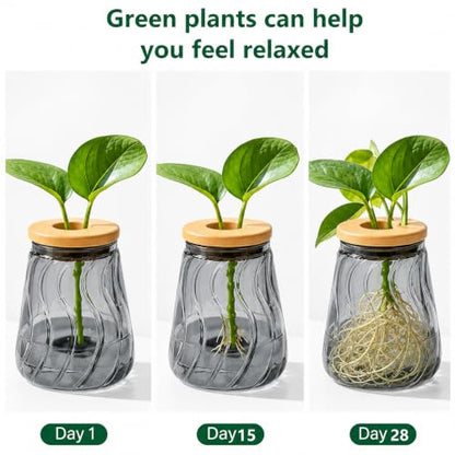Desktop Plant Hydroponic Vases, Water Plant Jars, Gardening Gifts for Office and Home, Outdoor, Gray Glacier Pattern - color: Gray Glacier Pattern