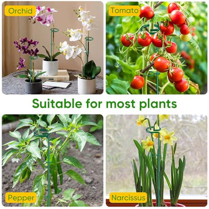 HiGift 17 inch Plant Support Stakes, 4mm Thick Garden Single Stem Flower Support Stake Amaryllis Plant Cage Support Rings with 10 pcs Plant Clips for Tomato Orchid Lily Peony Rose Flower Stem-5 Pack - size: 17 Inch-5 Pack