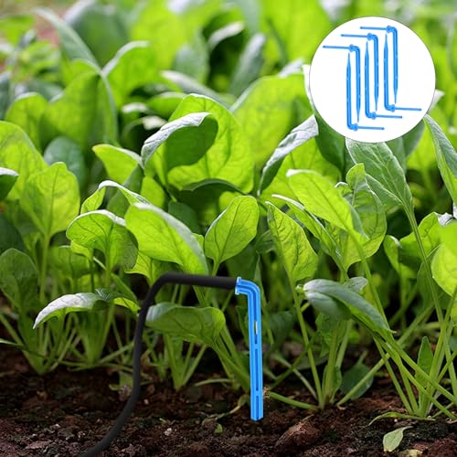 GANAZONO Drip Emitters Emitters Drip Emitter Stakes 100PCS Angled Plastic Irrigation Support Stakes Drip Tubing Hold Stakes for Gardening Patio Lawn Vegetable Fruit - size: 10X4cm
