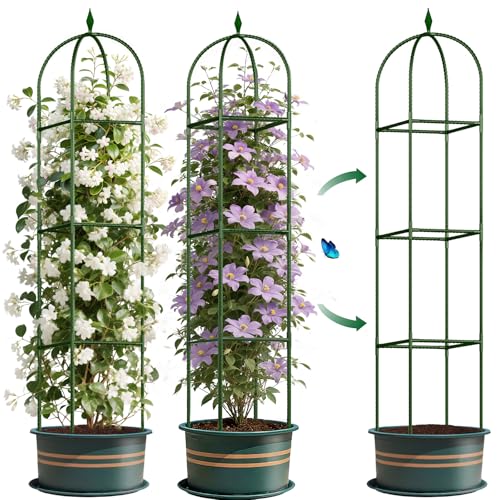 Garden Trellis for Climbing Plants, Tomato Cage, Rose, Flowers, Grape, Pea, Cucumber Trellis, Rustproof Plastic Coated Metal Plant Support for Potted Plants Indoor Outdoor - 1PC Plant Trellis - color: Green (Square)