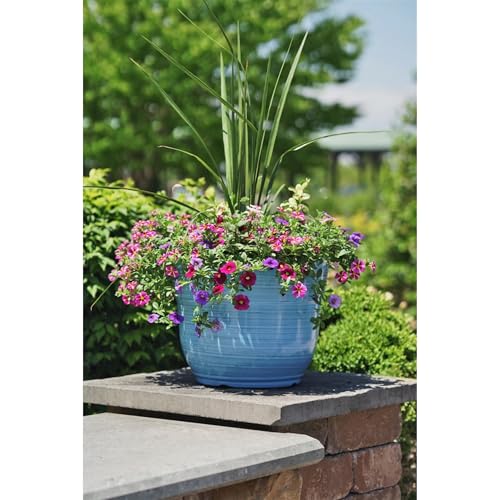 Garden Elements Indoor/Outdoor Glazed Brushed Happy Plastic Planter, Large, Bright Blue, 15" - color: Bright Blue