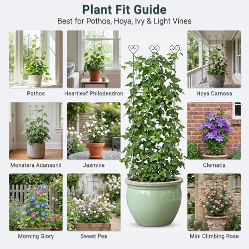 2 Pack 31" Metal Plant Trellis for Climbing Plants, Plant Support - size: 30in/2Pack