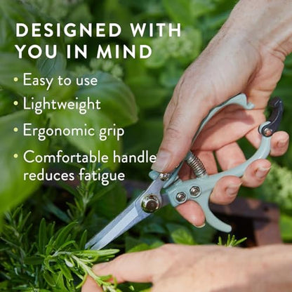 Modern Sprout Pruning Shears - Garden Snips - Herb Scissors - Multi 12-Pack - color: Multicolor - 12pcs