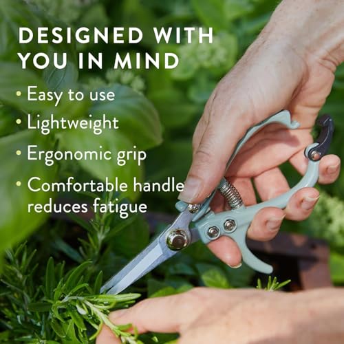 Modern Sprout Pruning Shears - Garden Snips - Herb Scissors - Multi 4-Pack - color: Multicolor - 4pcs