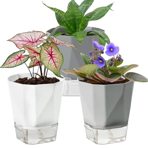 3 Pack Self Watering Planter Pots, 6.5 Inch African Violet Pots for Indoor Outdoor Windowsill Gardens, Plant Pot with Wick Rope and Reservoir